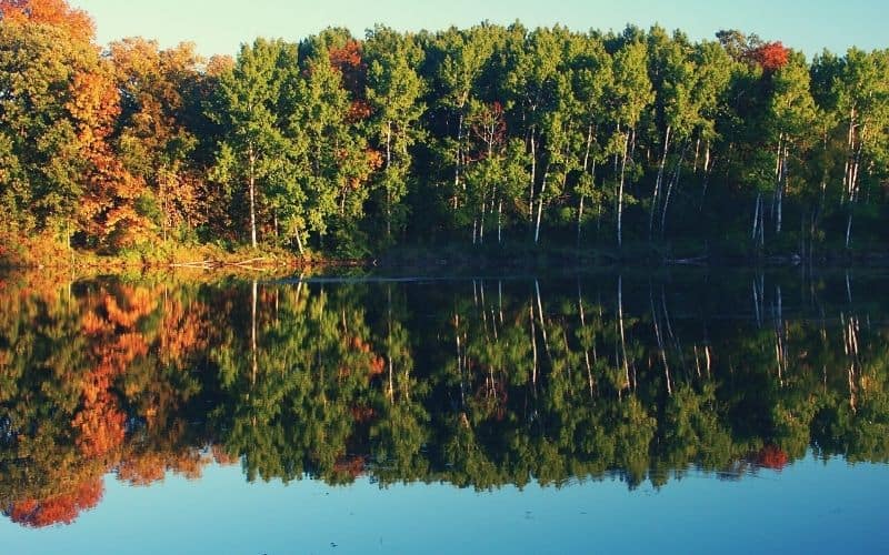 Scuppernong Trail, Kettle Moraine State Forest