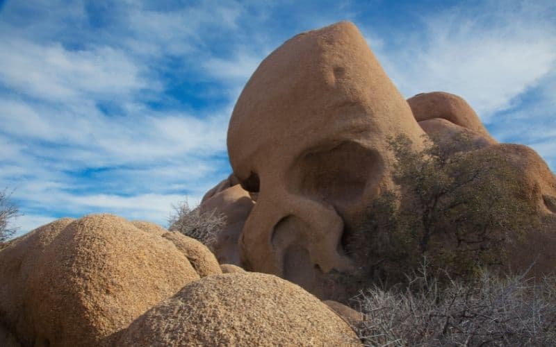 Skull Rock Nature Trail, Joshua