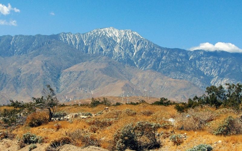 View of San Gorgonio Mountain, Joshua