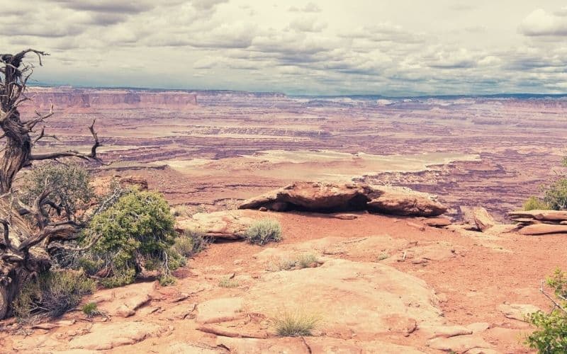 White Rim Overlook