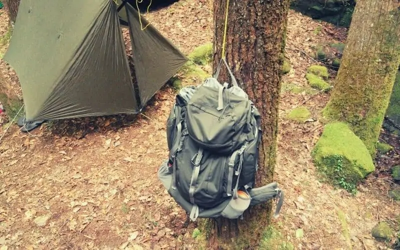 backpack hanging off tree next to hammock