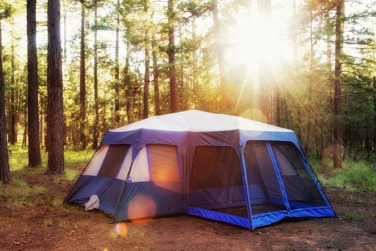 Large cabin tent pitched in the forest with the sun shining between the trees