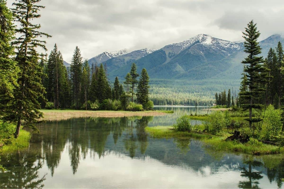 A lake reflecting nearby forest and mountains