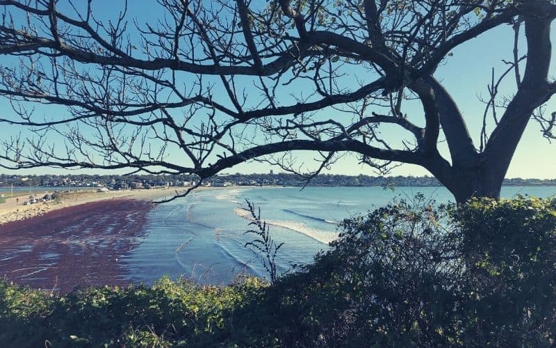 Cliff Walk – Newport, RI