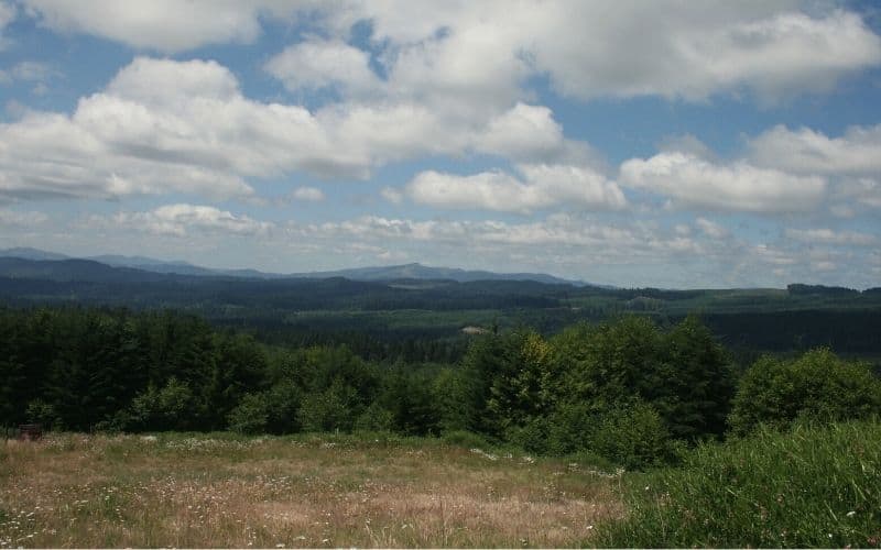 Coast Range looking West from Stub Stewart State Park, Oregon