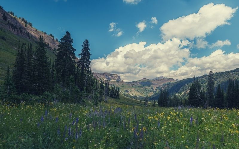 Death Canyon Trail To Patrol Cabin And Phelps Lake Overlook