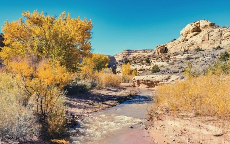 Fremont River Trail