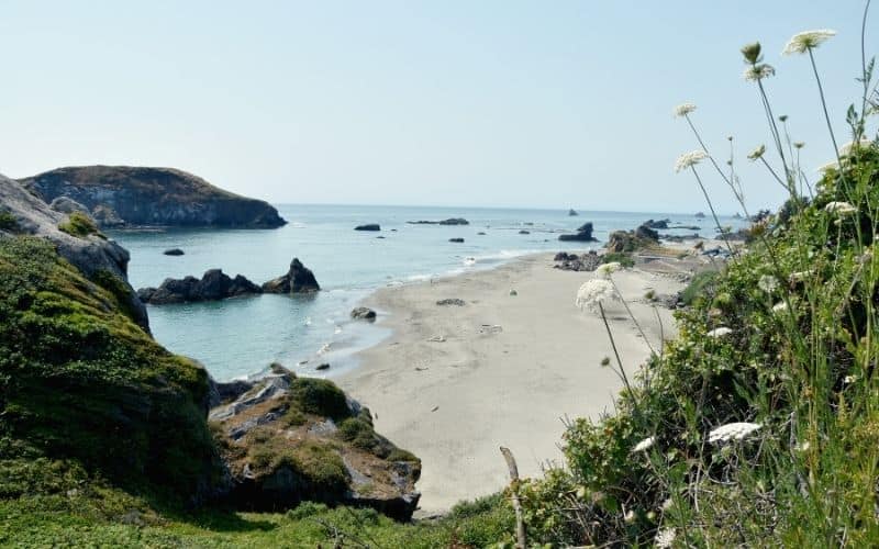 Harris Beach State Park, Oregon