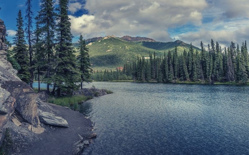 Horseshoe Lake Trail