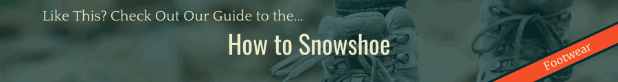How to Snowshoe Banner