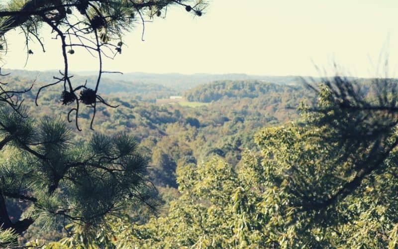 Jacob’s Ladder Overlook, Christmas Rocks State Nature Preserve