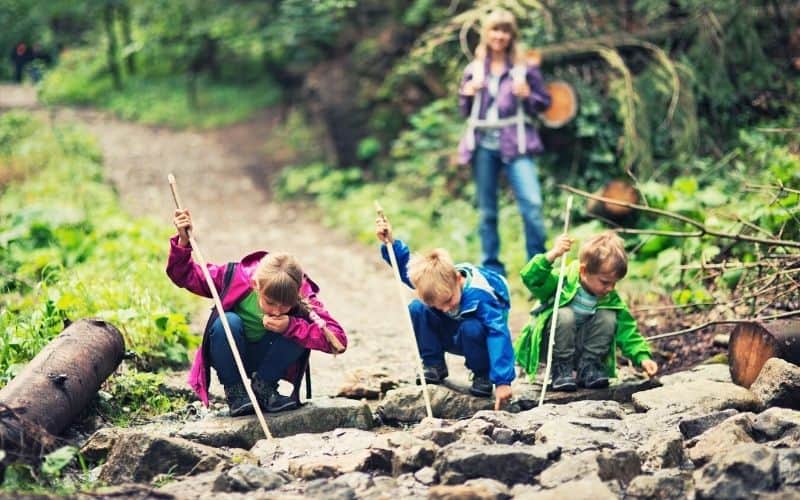 Kids holding long sticks and looking into a stream