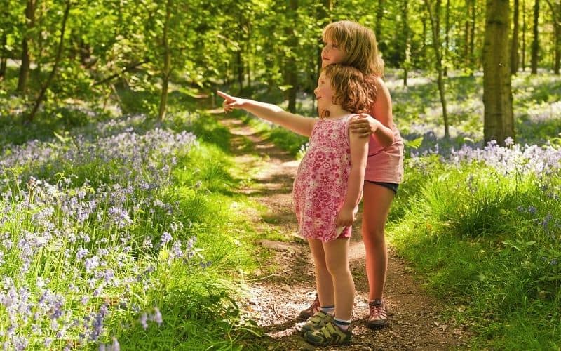 Kids pointing at things on a blubell lined trail