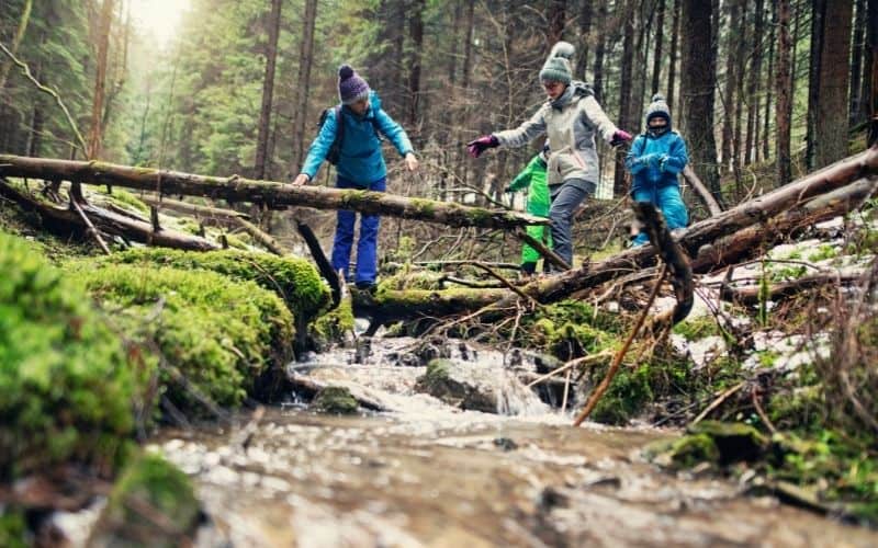 Kids walking along logs to get over a stream