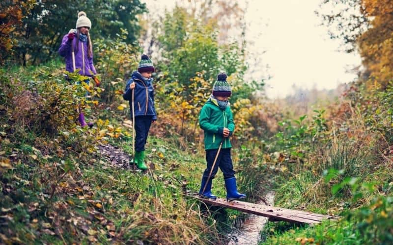 Kids holding long sticks and looking into a stream