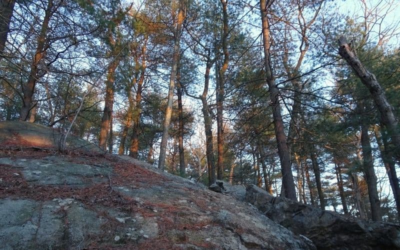 Lynn Woods Reservation, Massachusetts