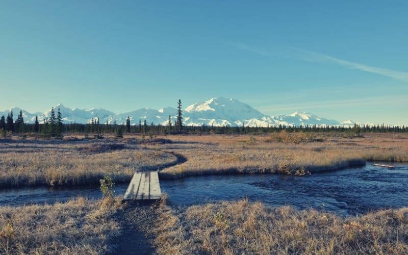 McKinley Bar Trail