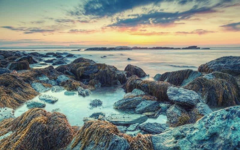 Ocean View And Flint Point Loop – Sachuest Point National Wildlife Refuge