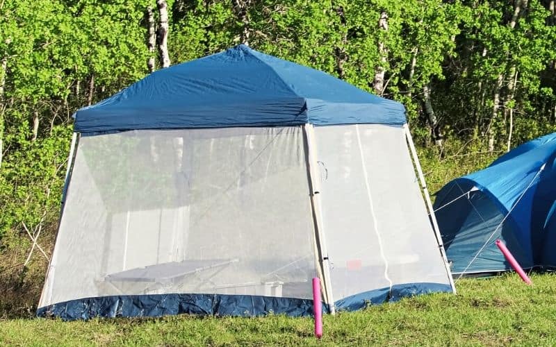 Pop-up canopy with bug screen mesh walls