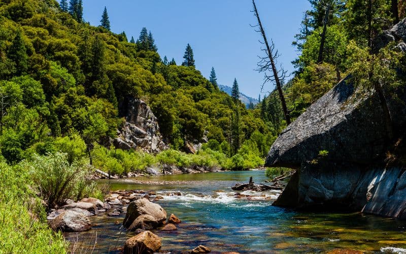 Redwood Creek Loop, Kings Canyon