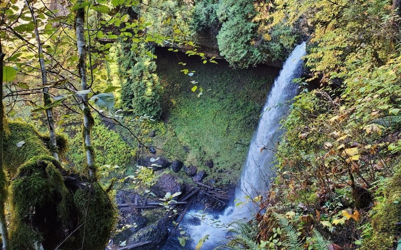 Silver Falls, Oregon