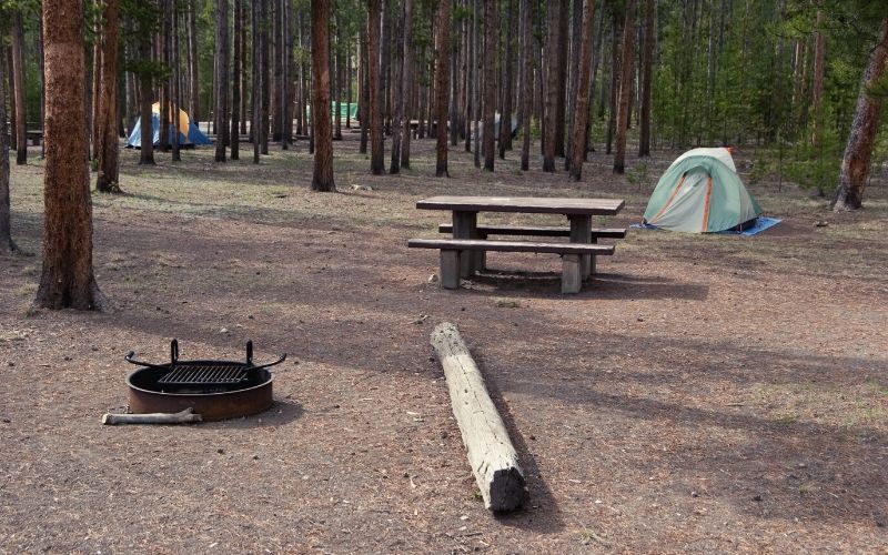 Tent pitched next to campsite amenities including picnic table and fire pit with grill