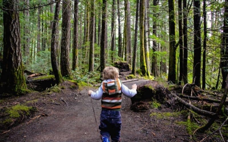 Toddler running through forest