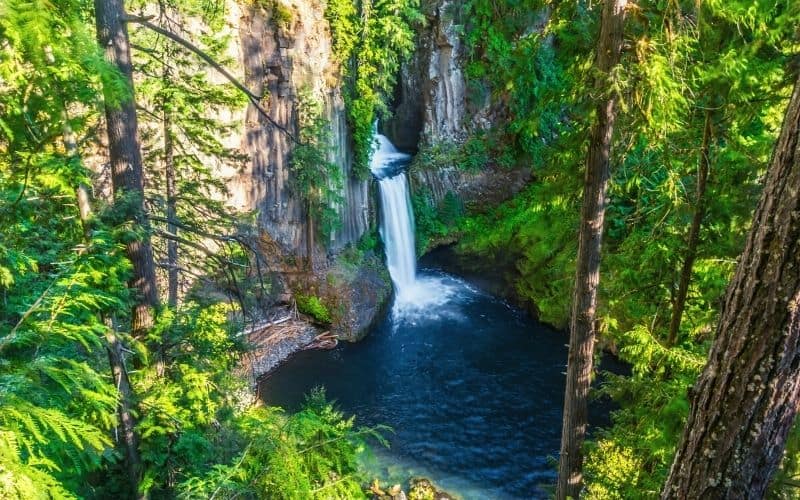 Toketee Falls, Oregon