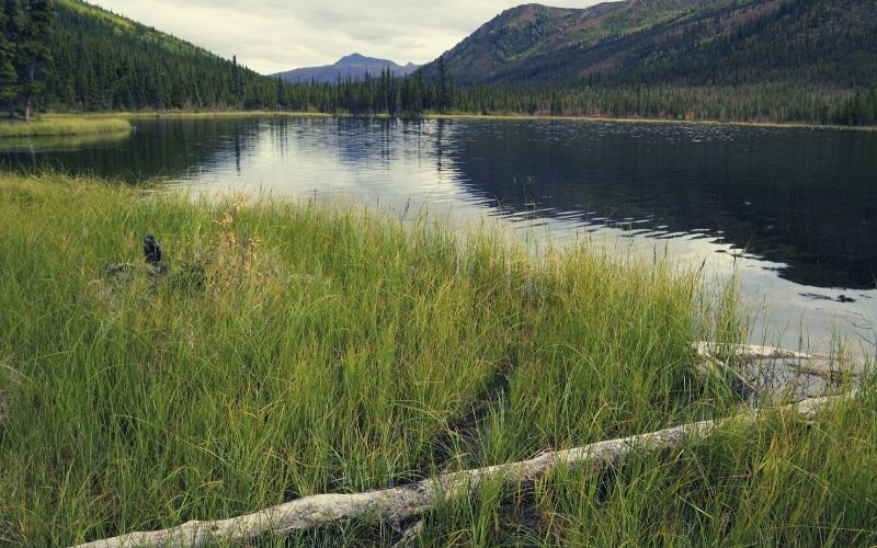 Triple Lakes Trail