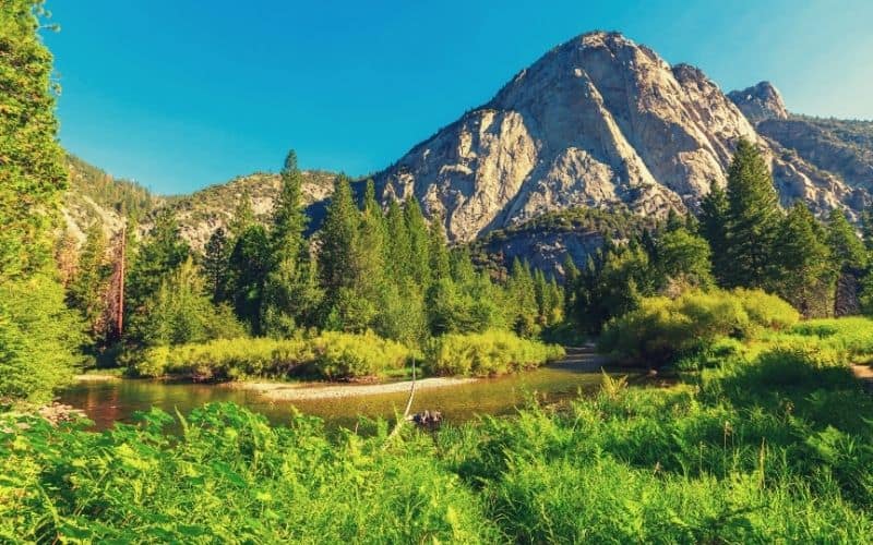 Zumwalt Meadow And Roaring River Falls