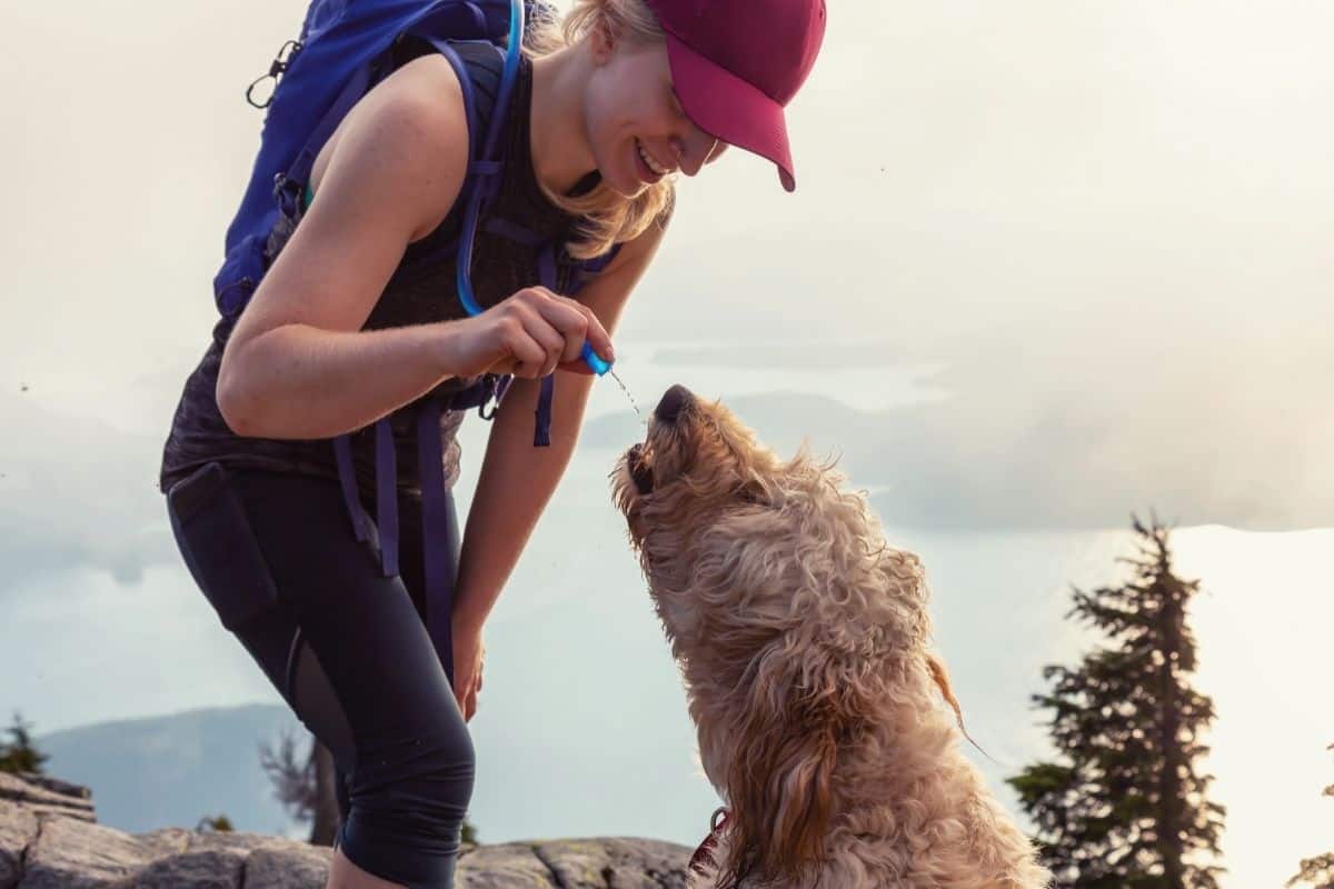 Hiker giving a dog water from her hydration bladder in her backpack