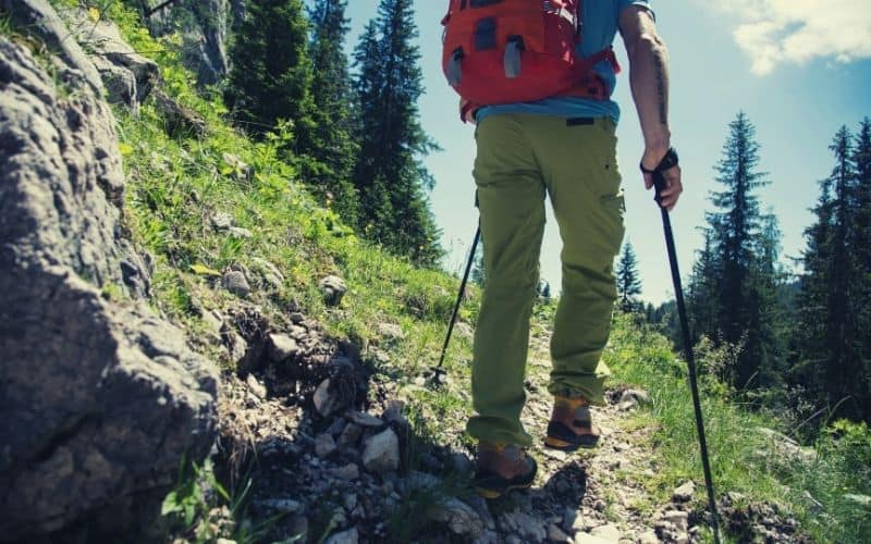 hiker walking trail with trekking poles in spring