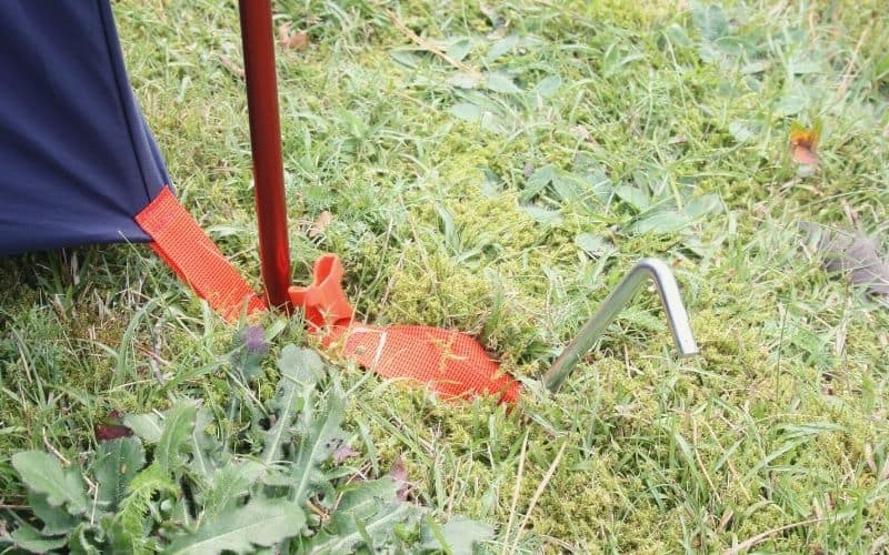 REI Steel tent stake