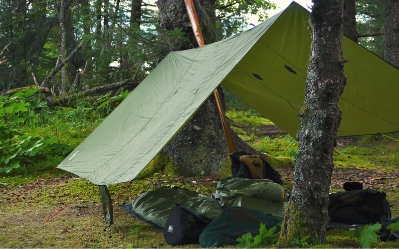 Tarp pitched out between two trees and with red guylines pitched to the ground