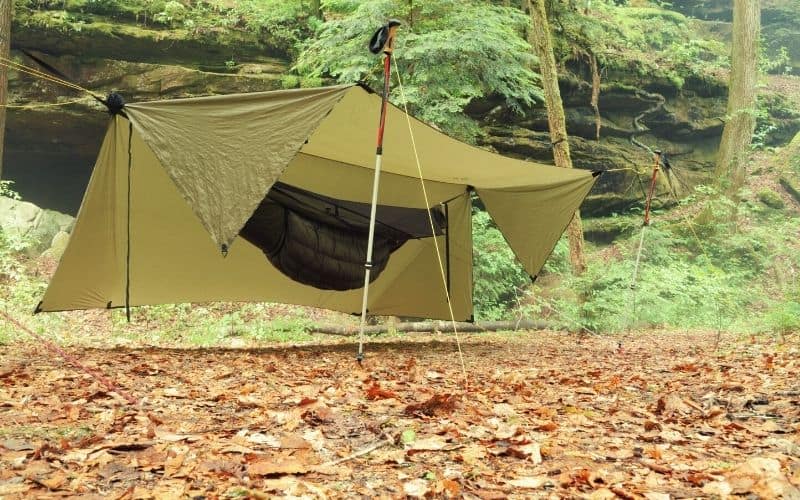 Tarp pitched over a hammock set up between two trees in a forest