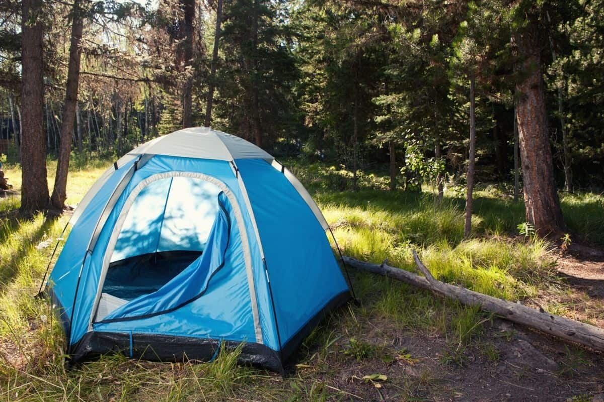 Tent pitched in the woods