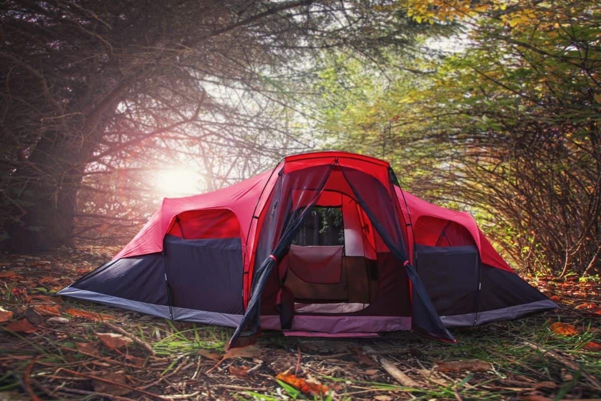 Large tent pitched in the forest with the sun shining between the trees