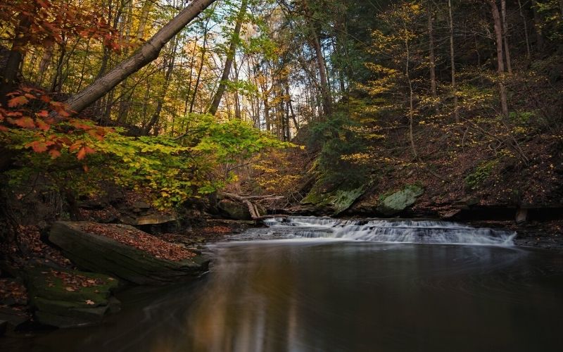 Brandywine Gorge Trail