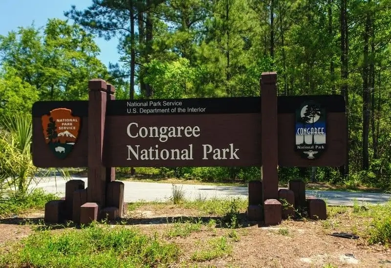 Congaree National Park hiking - feat img