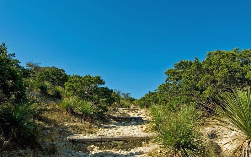 Cougar Canyon to Hermit's Trace Loop, Hill Country State Natural Area