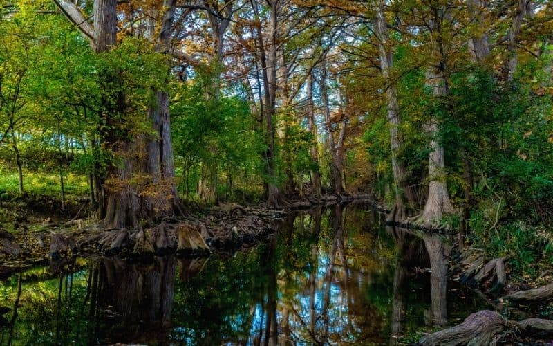 Full Trail Circle, Cibolo Nature Center