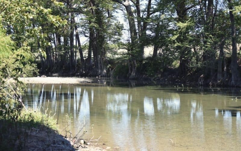 Rio Medina Trail, Medina River Natural Area