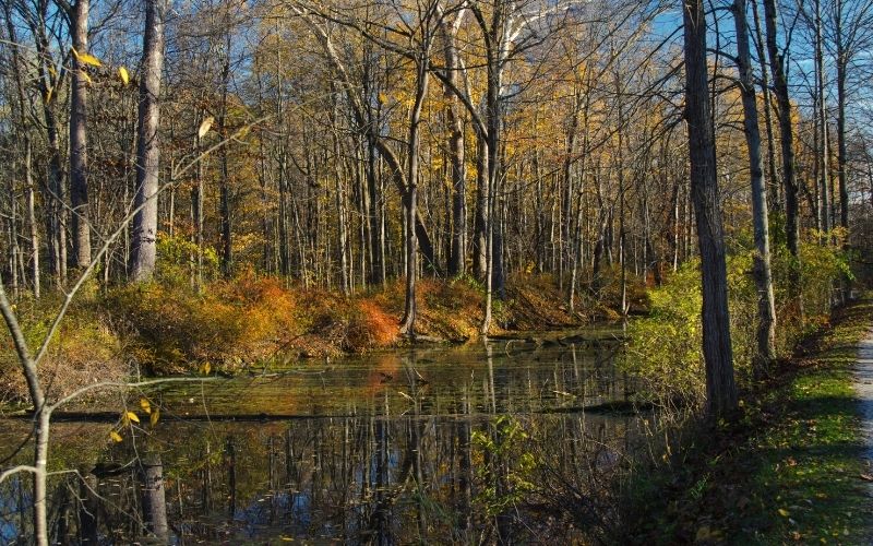 Towpath Trail