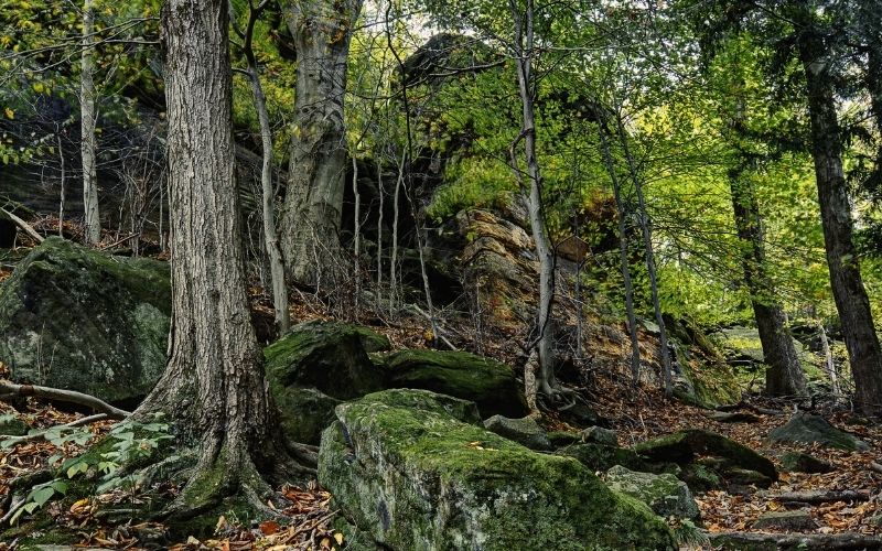 Virginia Kendall Ledges Trail