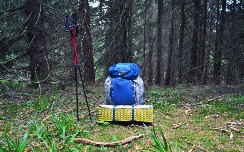 backpacking backpack and trekking poles sitting in forest