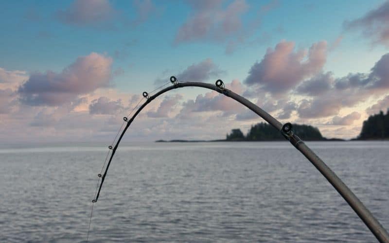 Bent fishing pole in the process of catching a fish