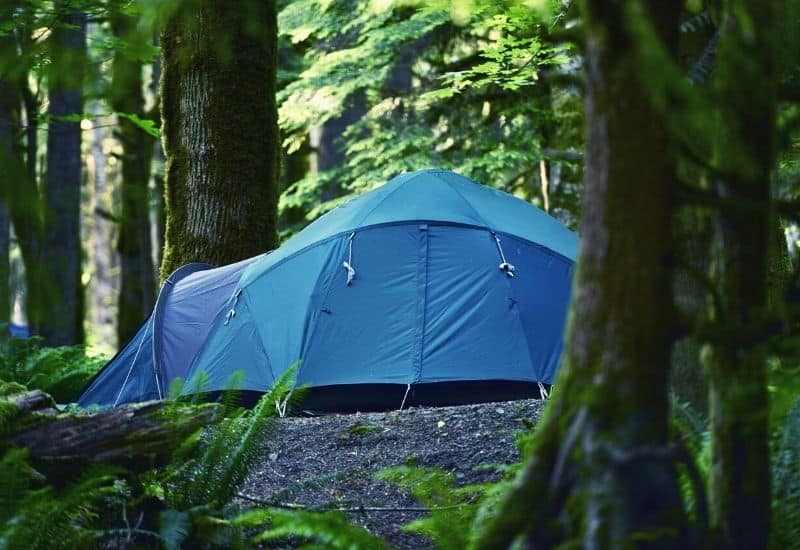 Large 8 person tent pitched in forest