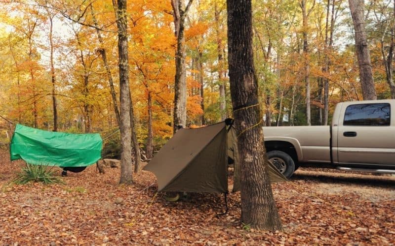 Camping hammocks tied to trees in the forest beside a truck