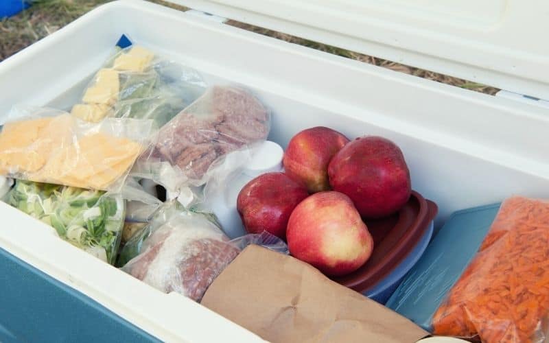 Hard walled cooler filled with food