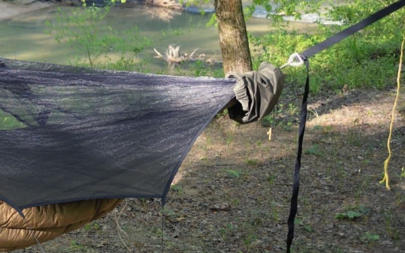 Hammock buckle suspension system